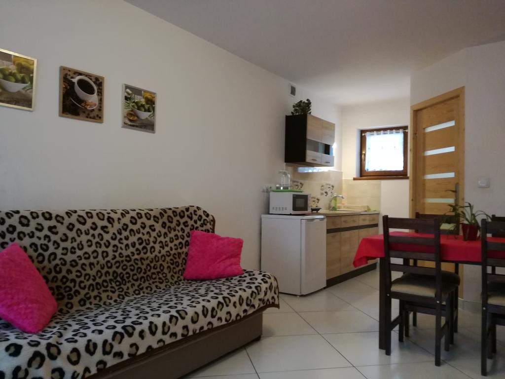 Apartamenty U Samkow 扎科帕内 外观 照片