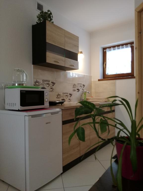 Apartamenty U Samkow 扎科帕内 外观 照片